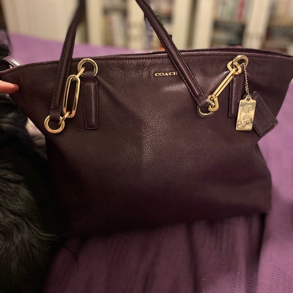 Gorgeous Madison East West Leather Coach